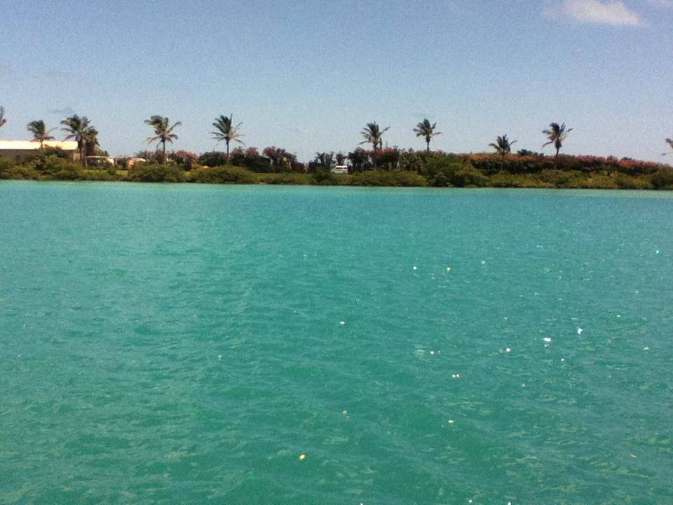 View of beach and sea in Bermuda